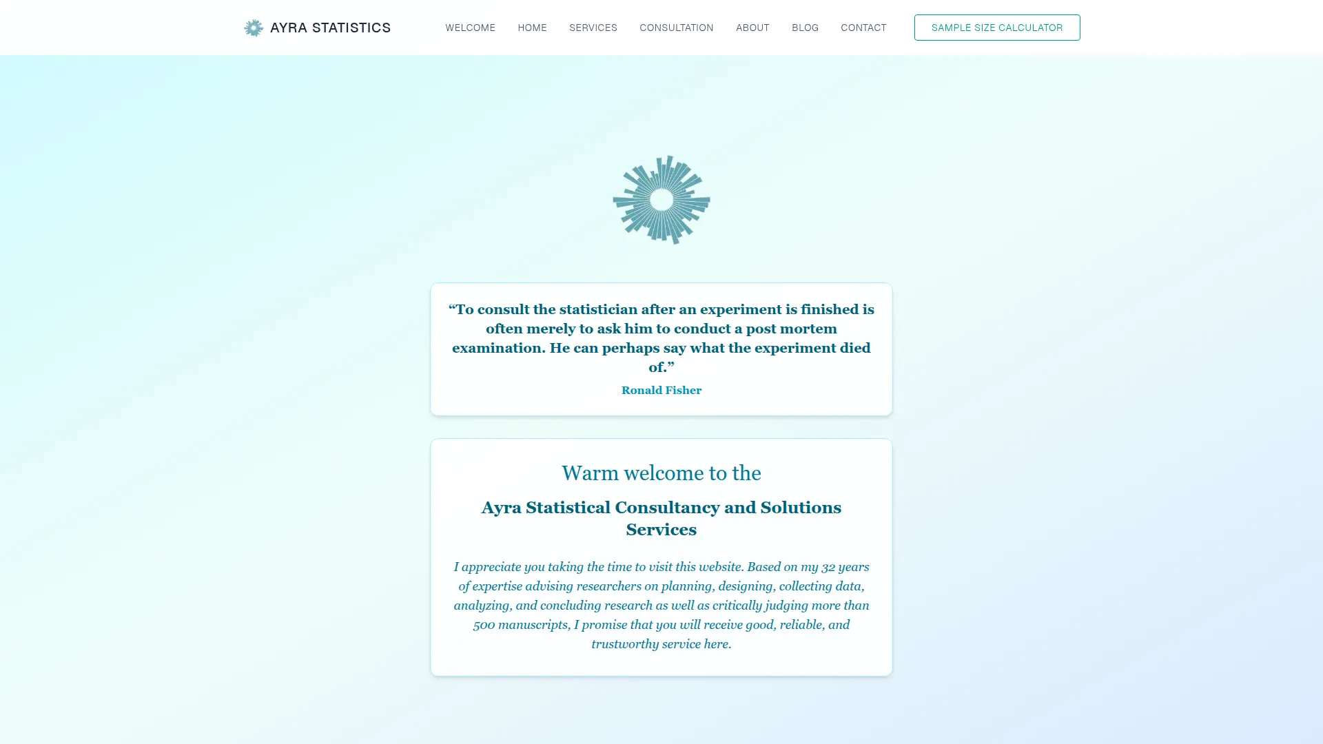 Ayra Statistical Consultancy project preview